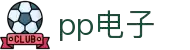 PP电子(中国)官方网站 - PP ELECTRONIC